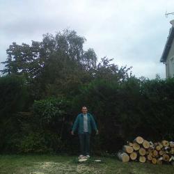 29 aprs abattage arbre
