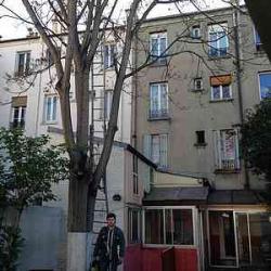 5 abattage arbre avant